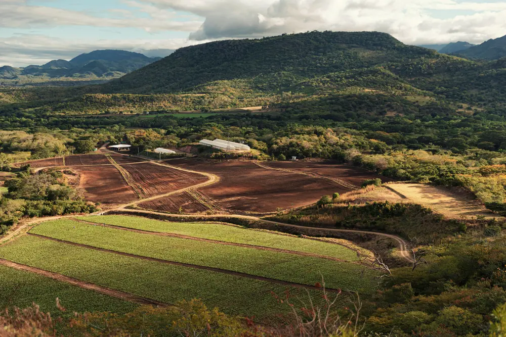 eindejaarsopportuniteiten Nationale Loterij vouchers Conway Ameel Candy World, J. Cortès Trendy Foods