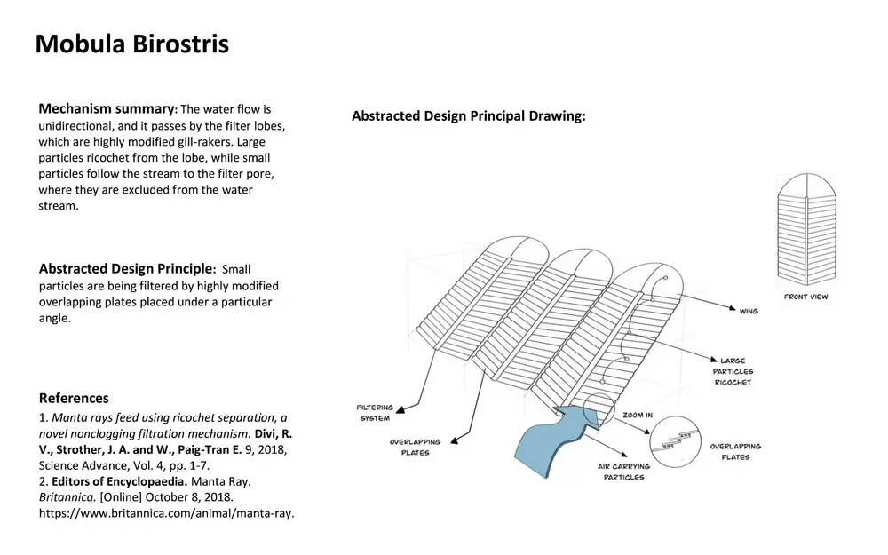 Abstracted Design Principle 