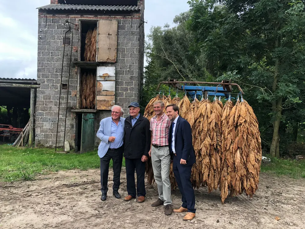 Vandermarliere Cigar Family