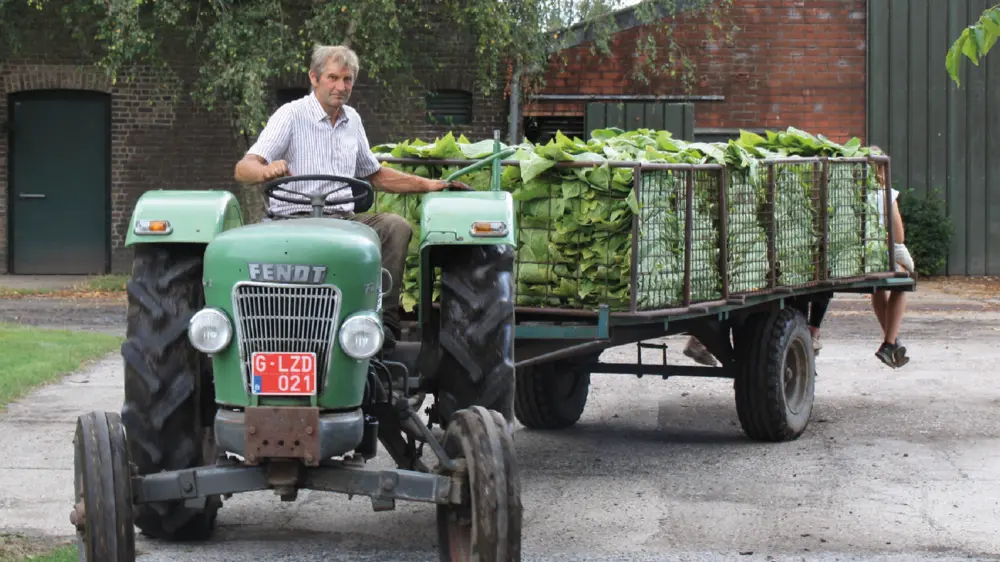 Ivan Vandaele Vandermarliere Cigar Family