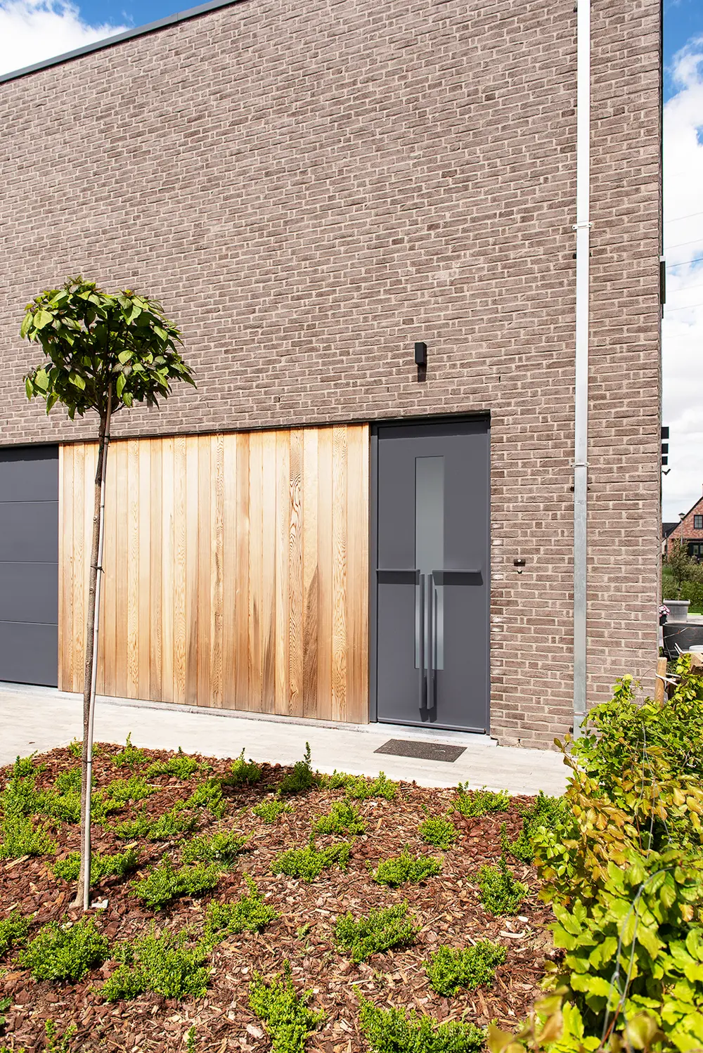 Frager Magnetude, Harinck