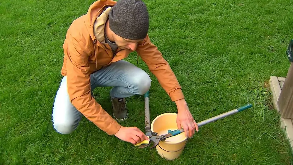 schoonmaak