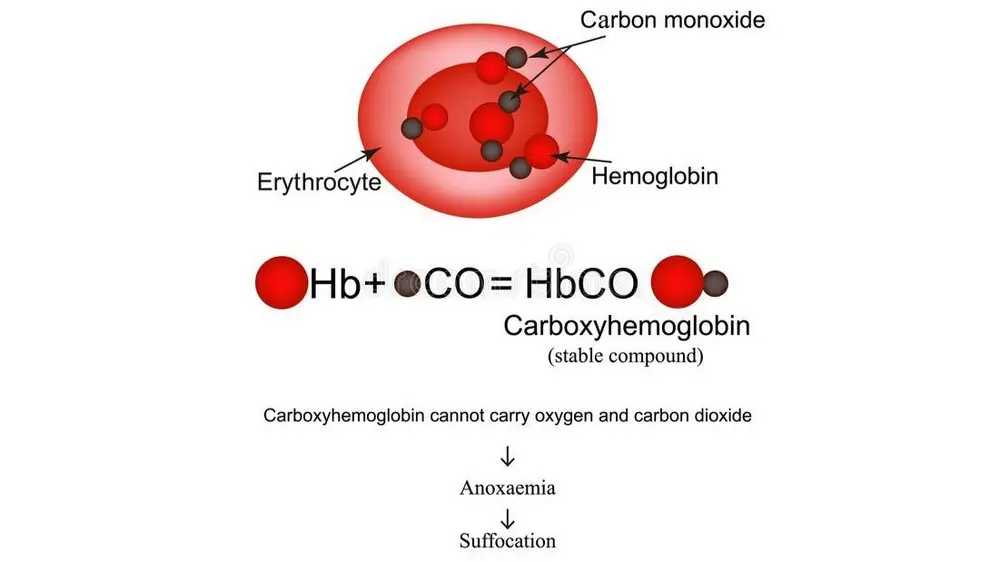 Fig2