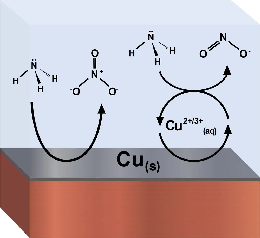 Figuur 2: Schematisch overzicht van de elektrochemische oxidatie van ammoniak naar nitraat of nitriet met een koperanode