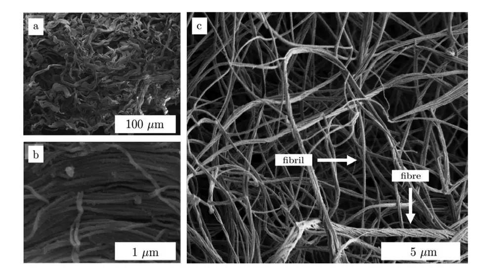 Collagen (a), in woven fibres, from rabbit skin. At higher magnification (b) the constituting fibrils are visible. Fibrils (c) assembling into fibres in vitro