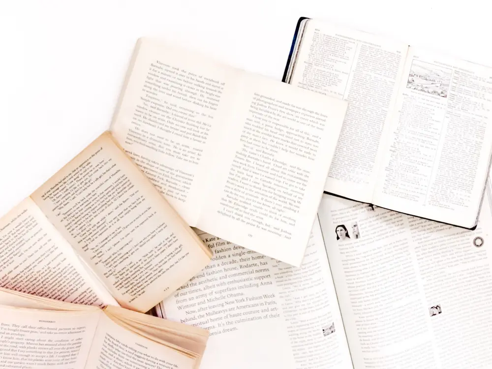 Literatuur Vlaanderen Paul Hermans BoekenOverleg