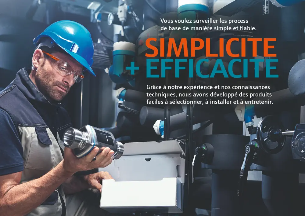 Endress+Hauser FLEX Selections