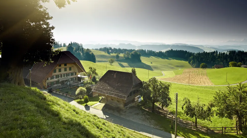emmentaler
