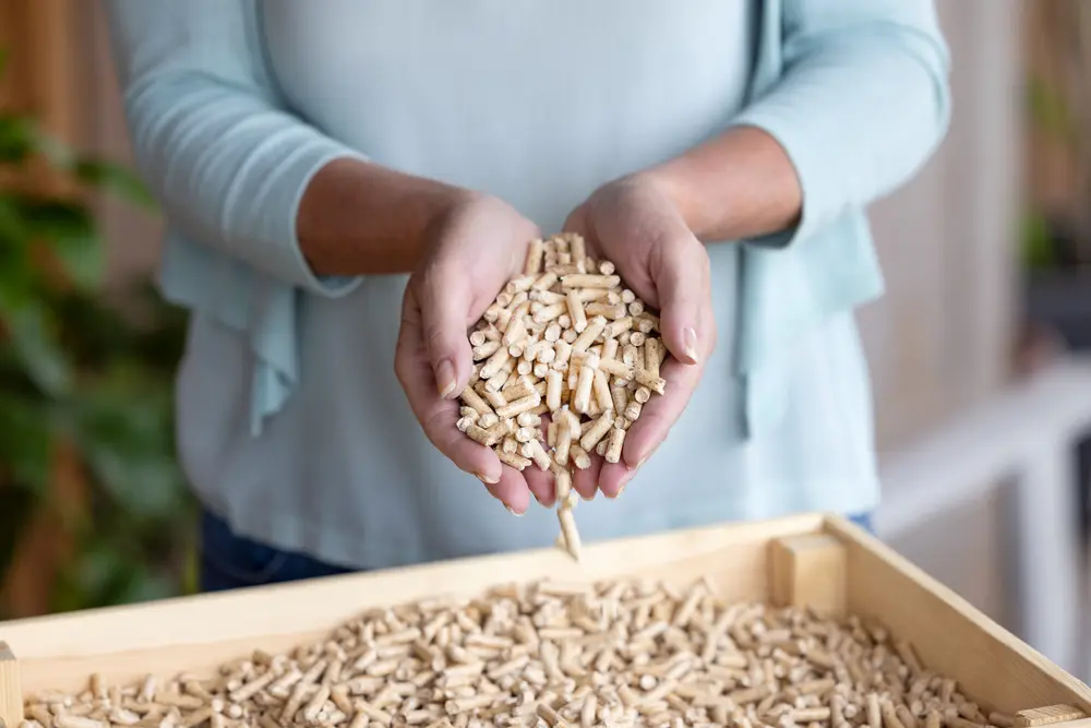 pellets