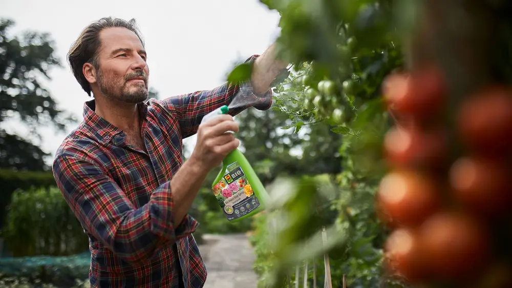 De meeste producten zijn geschikt voor toepassing op zowel groenten, fruit, kruiden als sierplanten