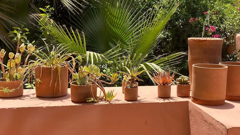 terracotta bloempot terras