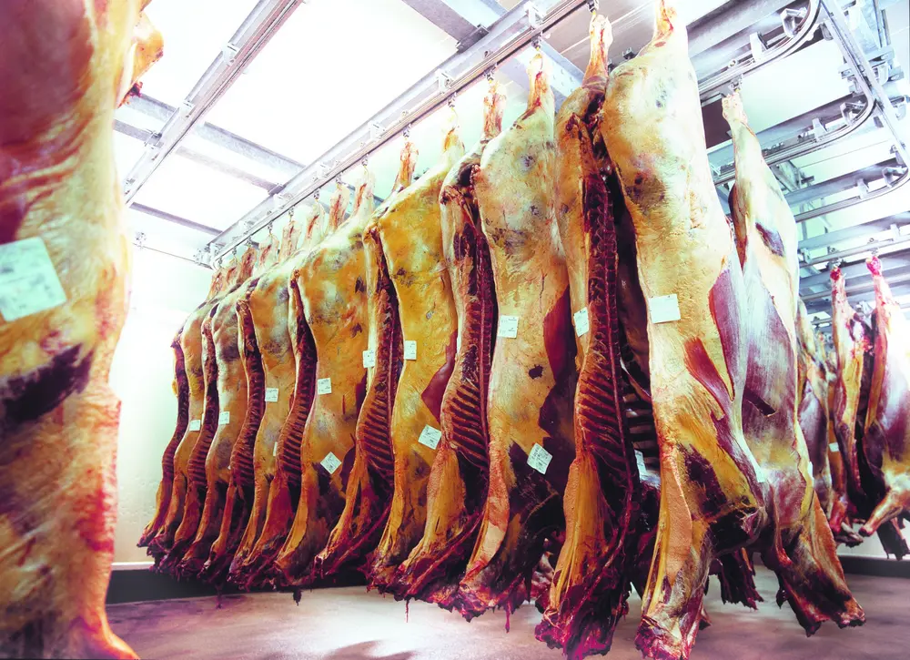 paardenvlees chevideco