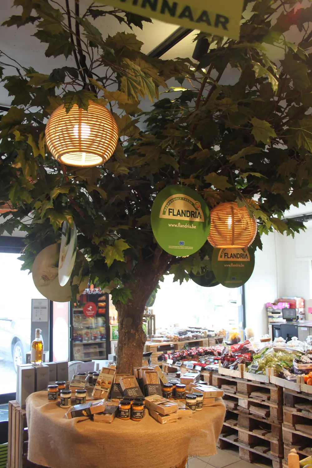 vita veggie sociale media