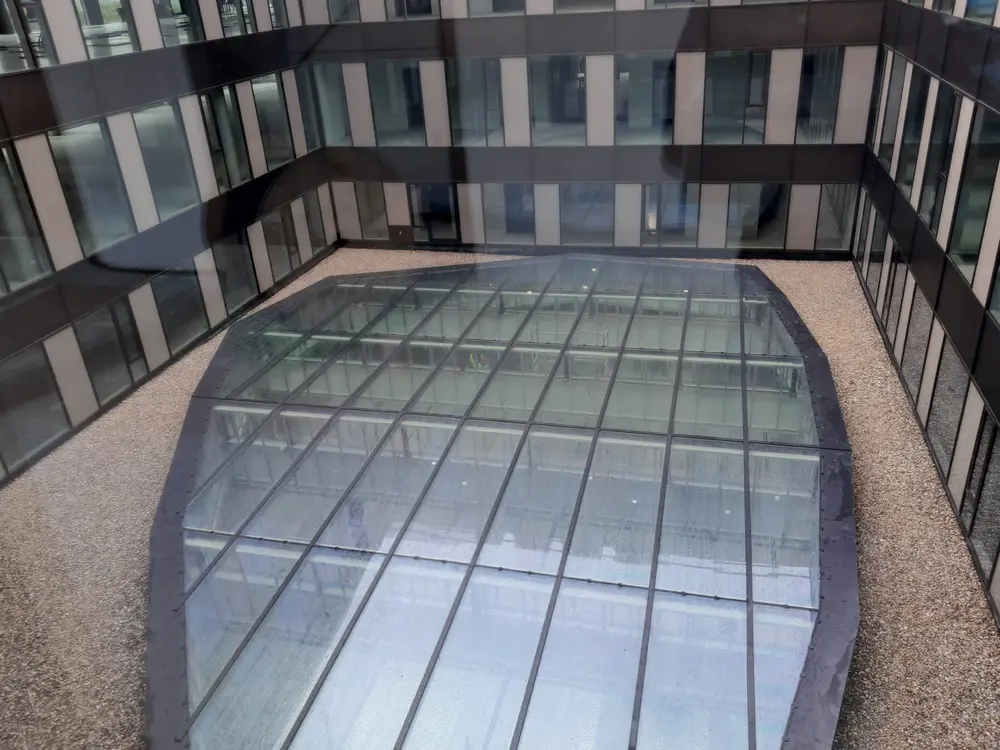 LDG - dakgrindblazen