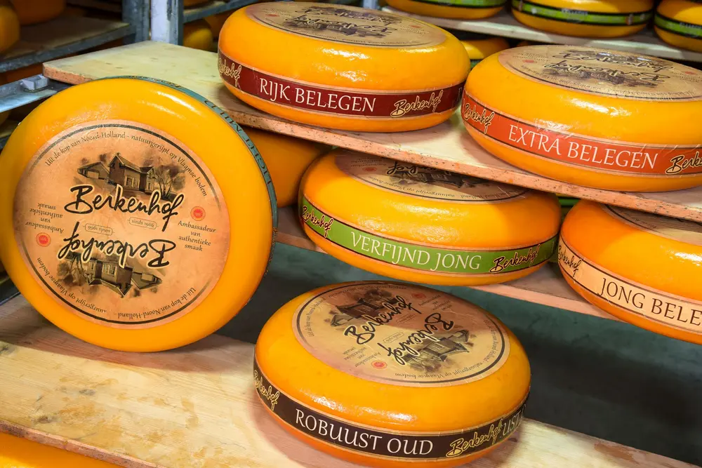 Berkenhof Kaas