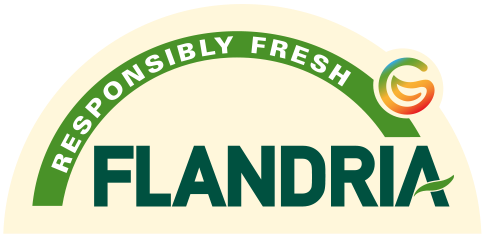Flandria