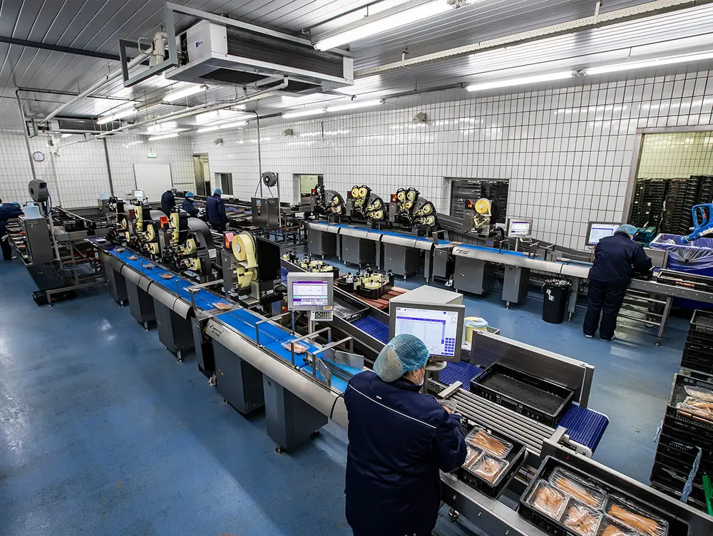 Verschillende levensmiddelen, verpakkingen en etiketten komen in aanmerking voor weeg-etiketteersystemen