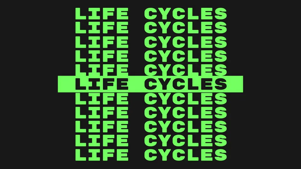 LifeCycles