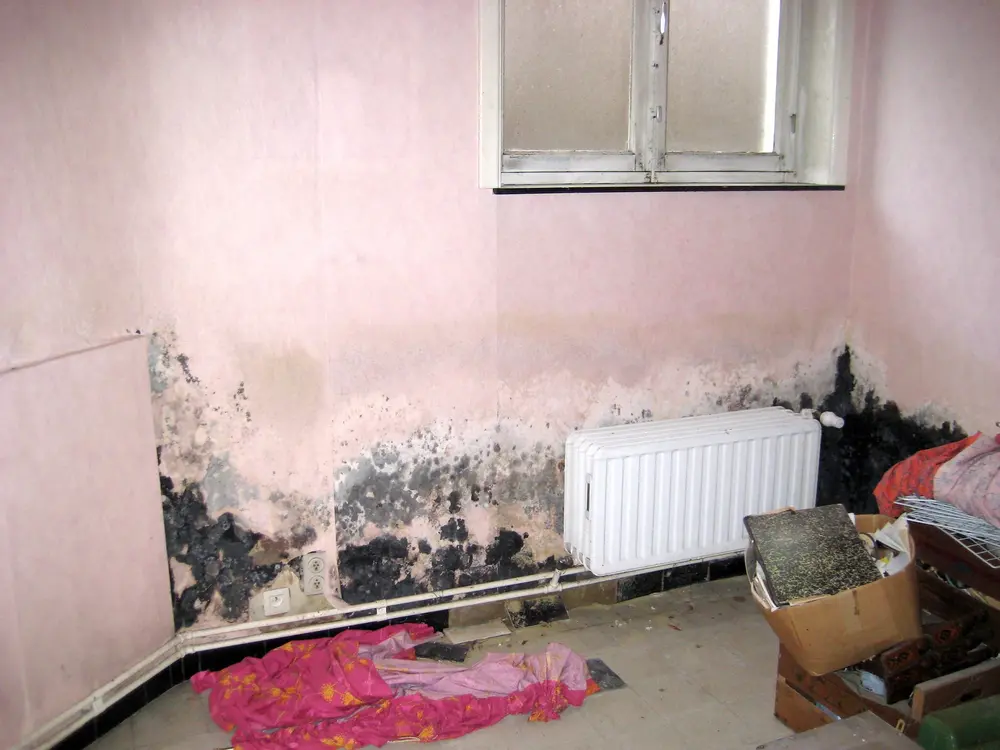 WTCB biedt gratis onlineopleiding “Vocht in gebouwen en de impact op renovatie”