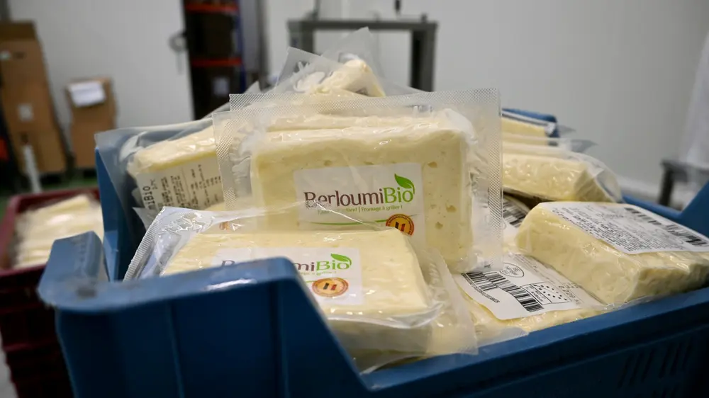 De Zuivelarij-kazen worden tegenwoordig verkocht in de eigen winkel, in lokale eetwinkels of bij retailers. Ze worden ook dikwijls aangewend door plaatselijke chef-koks