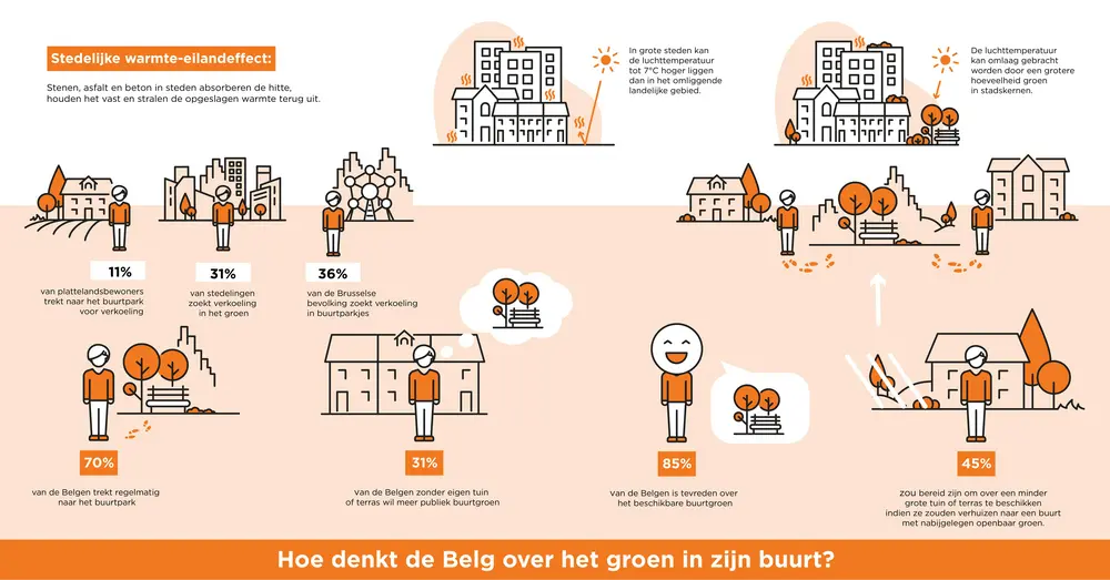 Infographic Hoe denkt de Belg over groen in zijn buurt?