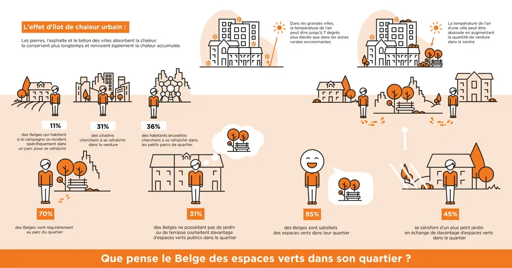 Infographique Que pense le Belge des espaces verts dans son quartier ?