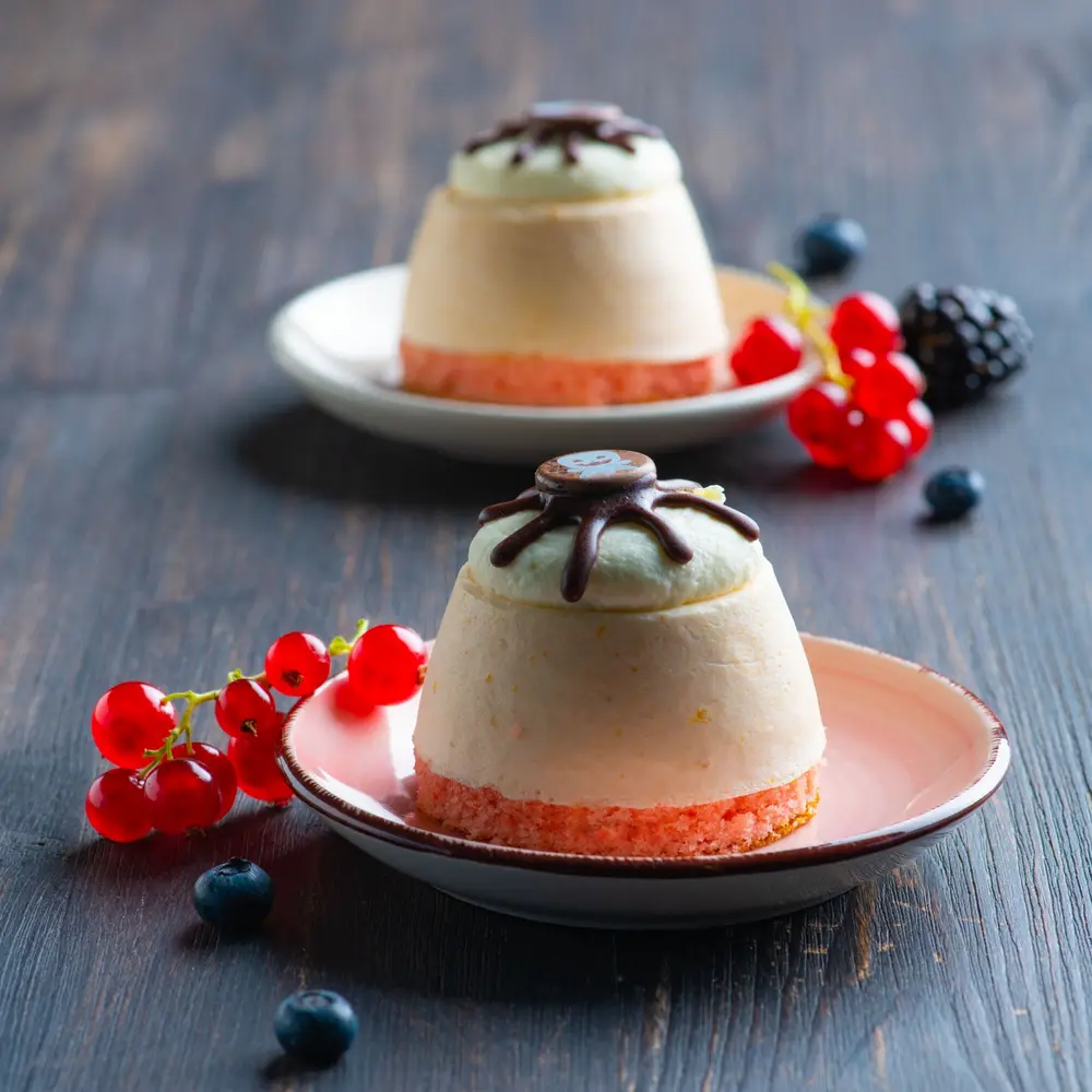 Fribona dessert readychef