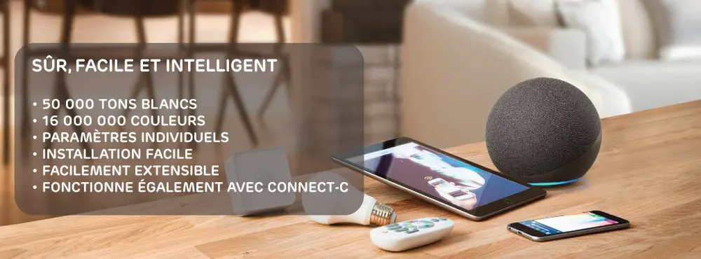 sur facile intelligent