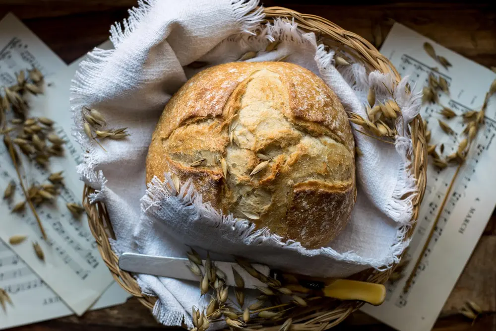 brood