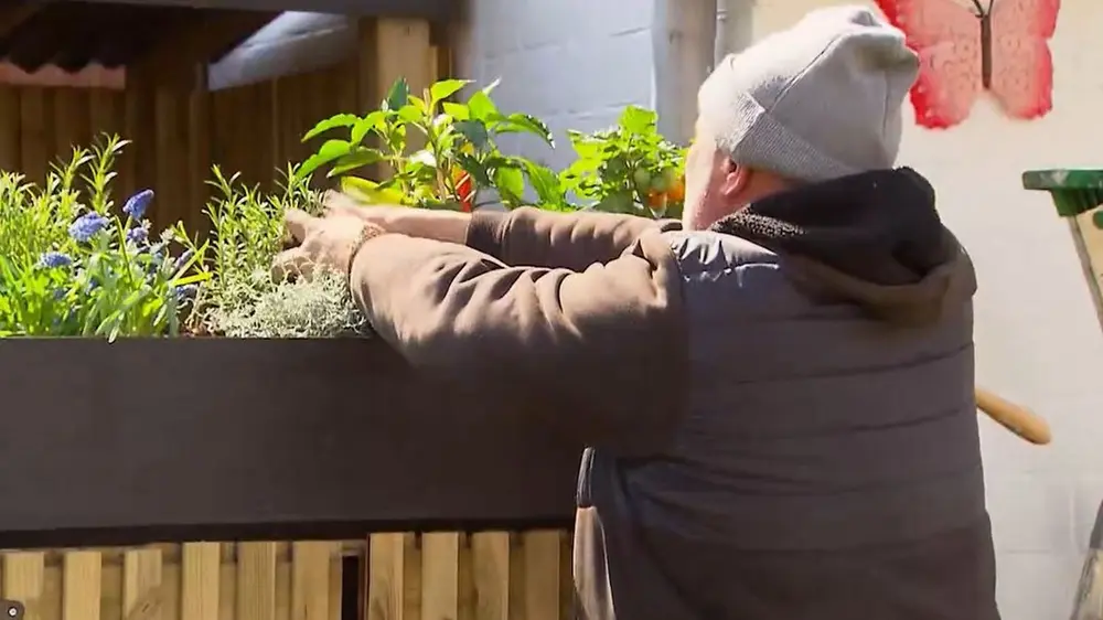 planten rangement toit vert