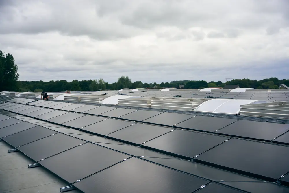 Vorsselmans Evergreen zonnepanelen