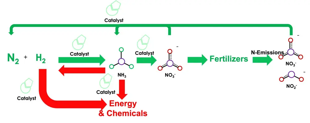 Ammonia synthesis as energy carrier and chemical fertilizer