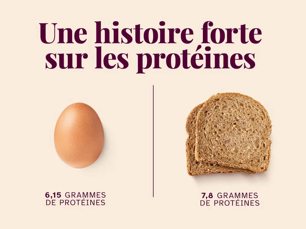 Le pain, une histoire forte