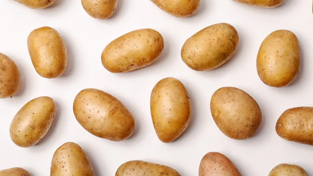 Naast de productgrootte, zijn er ook variaties in vreemde vormen en in een breed scala van afwijkingen in de schil.