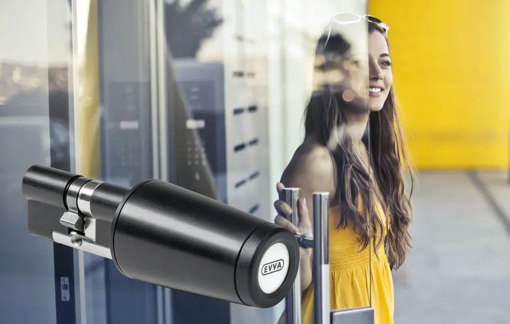 elektronische motorcilider emzy