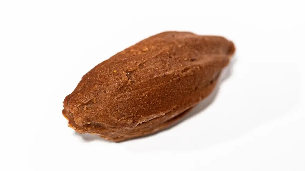 praline world chocolate masters