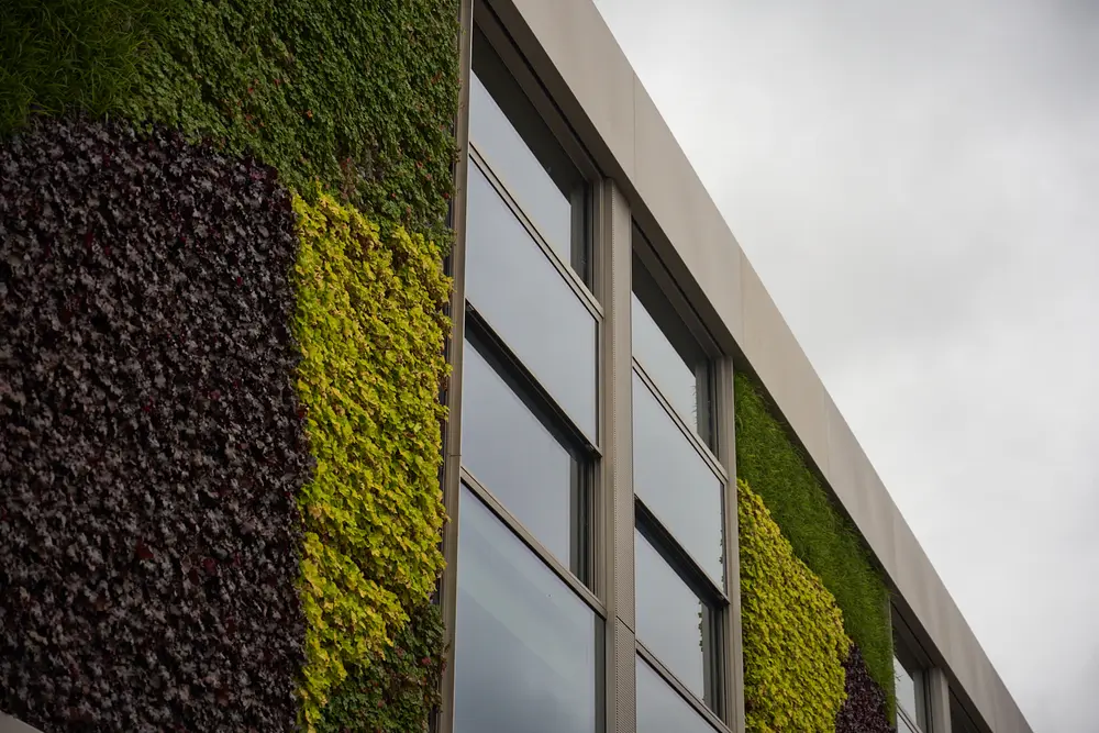 Groengevel Vorsselmans