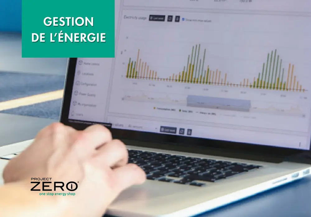 project zero jan cieters 5 pijlers 