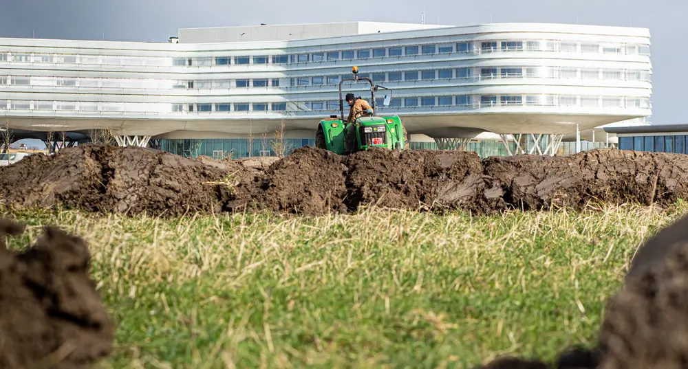 voedselbos als duurzaam initiatief voor grootkeukens