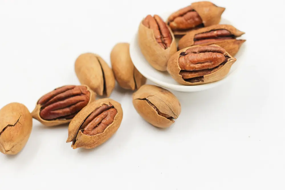 pecannoten zijn afkomstig van een boom en zijn omhuld door een pel