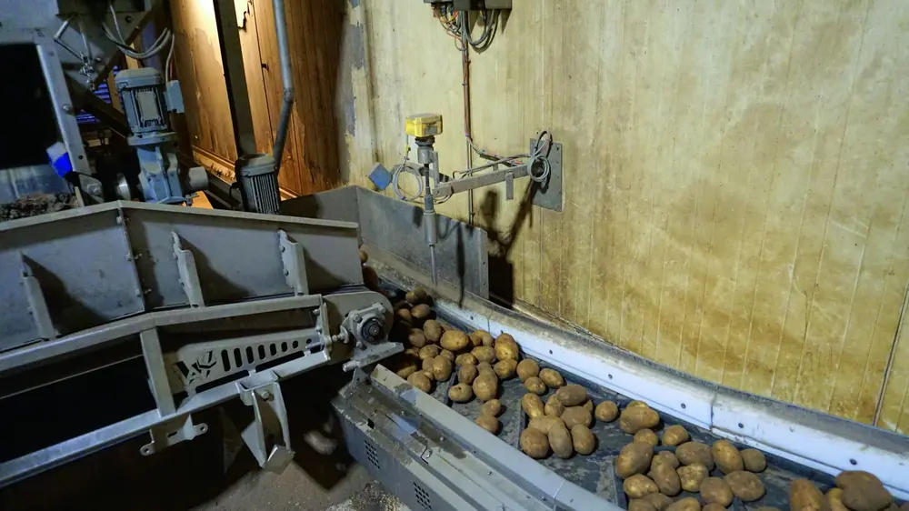 VEGAVIB 61-sensoren detectie aardappelen