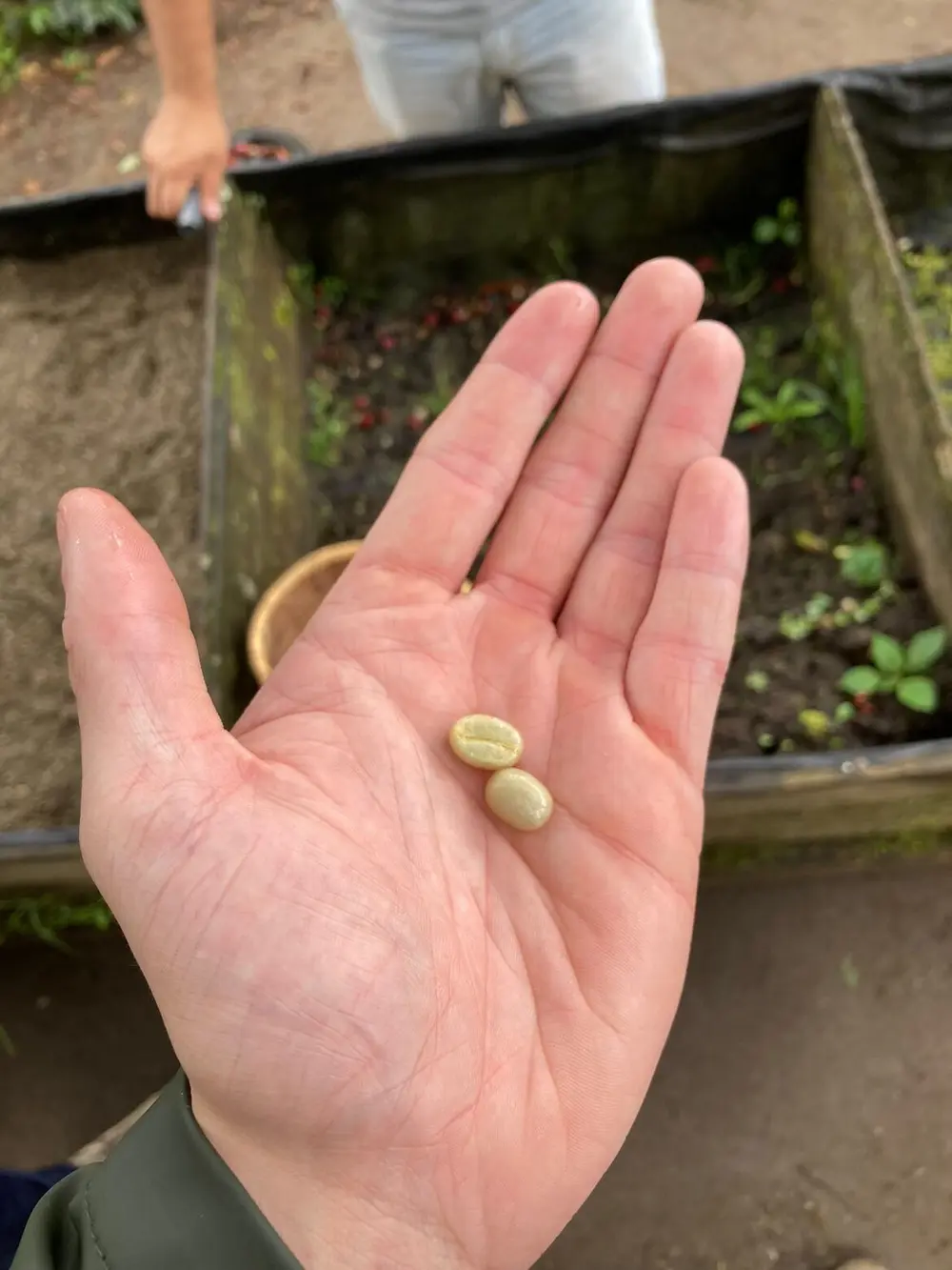originekoffie originechocolade koffiebonen