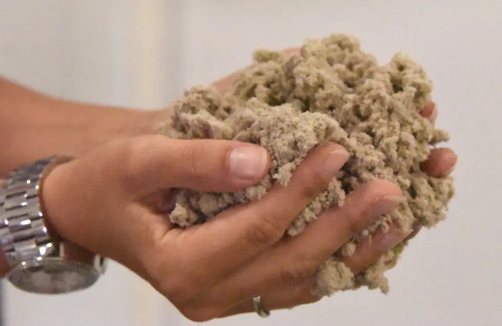 afgevangen Cellulose uit rioolwater