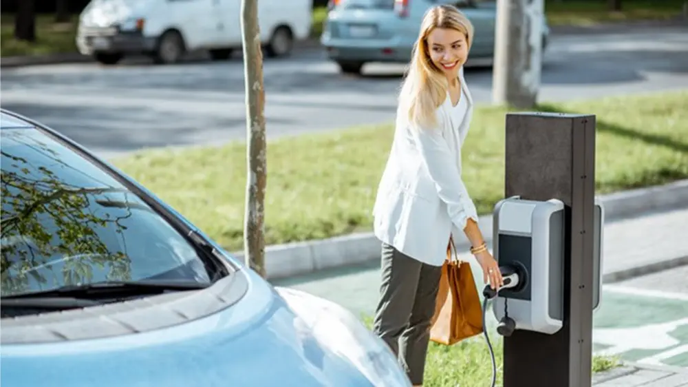 Wagenpark vergroening