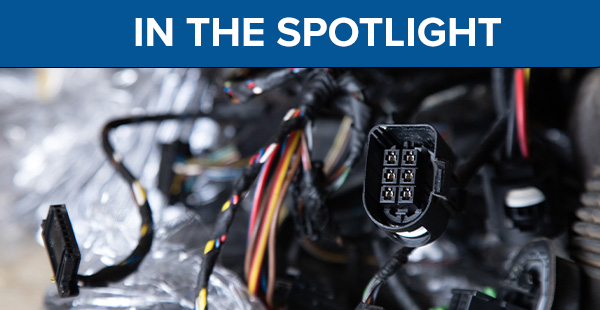 In the spotlight LKQ