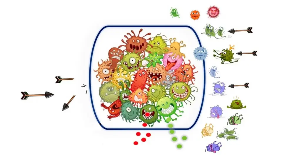 biofilm bacteriën beter beschermd