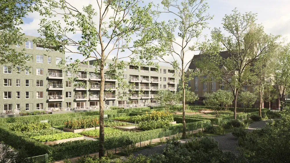 borgerwijk antwerpen