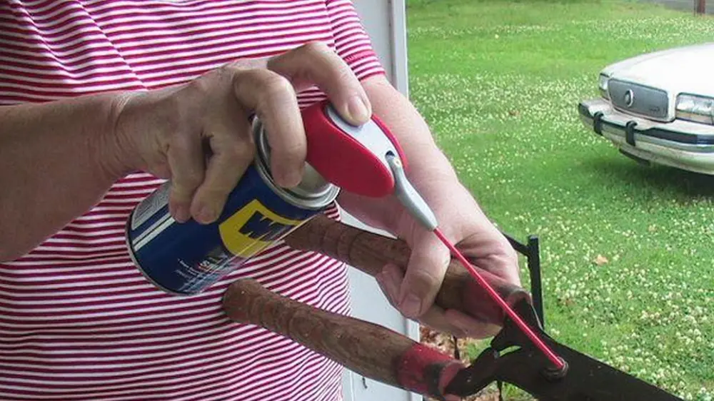 snoeischaar onderhouden