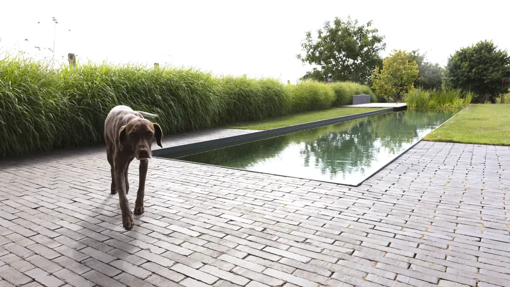 Trendline Eros getrommeld - Tuinarchitectuur Otium, Brakel