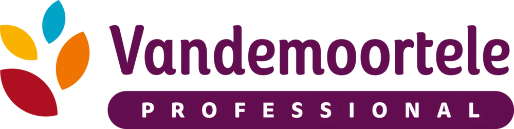 Logo - VANDEMOORTELE PROFESSIONAL